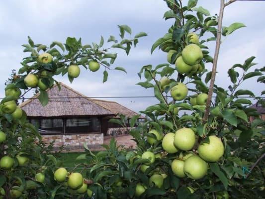 Maetok Country Club Hotel Petrove Bagian luar foto
